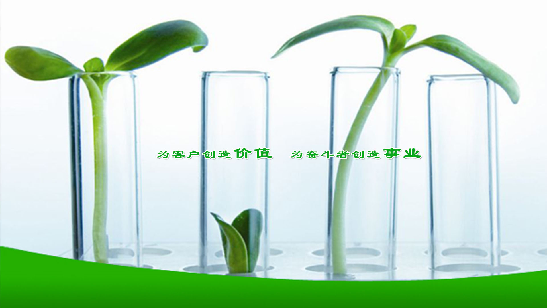 首頁幻燈片二